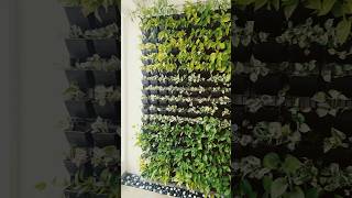 பால்கனியில் சுத்தமான காற்று நிச்சயம் Wall Garden installed at Trichy morais city wallgarden plants [upl. by Kalk]