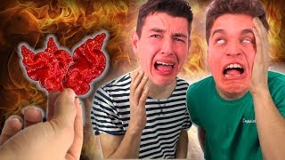 SERIO NAJOSTRZEJSZA PAPRYCZKA NA ŚWIECIE  CAROLINA REAPER [upl. by Ursola]