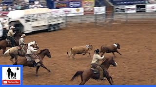 Trailer Loading  2021 Coors Cowboy Club Ranch Rodeo  Friday [upl. by Anaizit673]