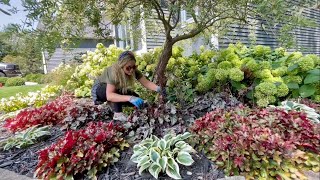 Planting Coneflower amp Trimming Hosta amp Heuchera Garden Hangout A Solar Fountain From Michelle [upl. by Rossing552]