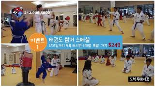 LA Dosan Taekwondo  엘에이 도산 태권도 Summer Special [upl. by Ennirak]