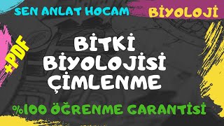 BİTKİ BİYOLOJİSİ KONU ANLATIMI 27  BİTKİDE ÇİMLENME  AYT BİYOLOJİ  ✅ [upl. by Domeniga669]