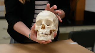 How forensic anthropologists identify human remains [upl. by Nediarb506]