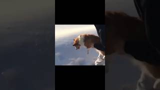 A dog taking flight in the vast expanse of the skydog shorts flyhigh cute fail [upl. by Bailar]