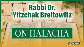 An Introduction to Chametz and Matzah By Rabbi Yitzchak Breitowitz [upl. by Turk]