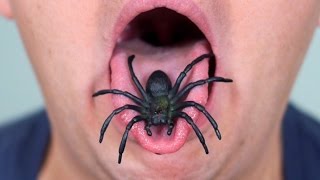 SPIDER IN MOUTH [upl. by Herm]