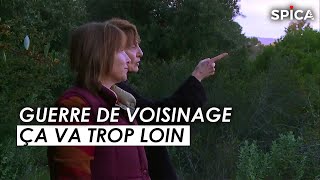 la guerre des voisins dérape [upl. by Damita718]