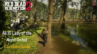 RDR2 Lady of the Night Orchid Hunt A Beginners Guide [upl. by Leilah]