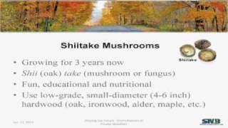 Growing shiitake mushrooms part 1 of 2 [upl. by Tenaj]