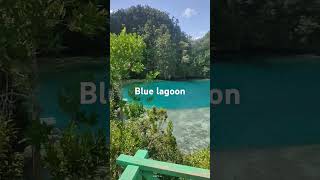 BLUE LAGOONtrendingshorts viralshort youtubeshorts smr [upl. by Luing]