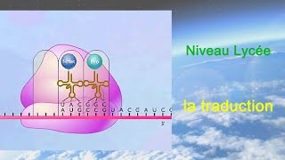 La traduction Lycée [upl. by Swee129]