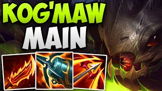 CHALLENGER KOGMAW MAIN AMAZING ADC GAMEPLAY  CHALLENGER KOGMAW ADC  Patch 1414 S14 [upl. by Shaun]