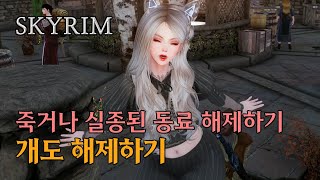 스카이림  죽거나 실종된 동료 개 해제하기 Follower Framework [upl. by Wyndham]