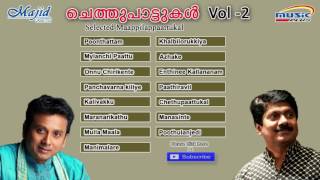 Chethupaattukal Vol 2  Selected Mappilapattukal  Latest Mappila Songs 2017  New Upload [upl. by Nnyluqcaj]