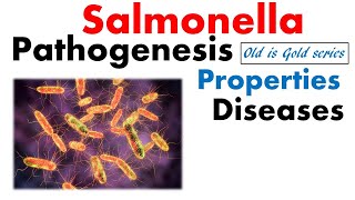 Salmonella typhi microbiology  pathogenesis infection disease treatment [upl. by Shakespeare]