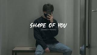 Shape Of You  Ed Sheeran slowedreverb [upl. by Atteloc840]