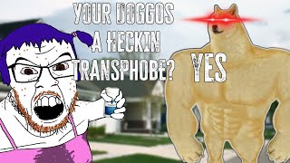 YoUr DoGgOs A HeCkIn TrAnSPhObE [upl. by Anaerdna928]