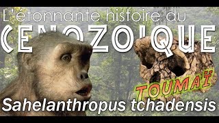 Sahelanthropus tchadensis dit Toumaï  Paléontologie  Simplex Paléo [upl. by Agata985]