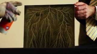 Deep Dielectric Discharge Lichtenberg Figure [upl. by Aurlie515]