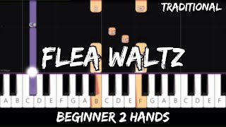 Traditional  Flohwalzer  Flea Waltz  Easy Piano Tutorial  For 2 Hands [upl. by Rawdan941]