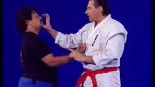 Hanshi Frank Dux demonstrates Dragon Technique [upl. by Giffer]