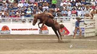 Jineteos de yegua  Semifinales del Nacional Charro Nayarit 2013 [upl. by Nahbois524]