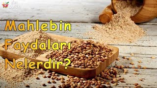 Mahlebin Faydaları Nelerdir [upl. by Sset]