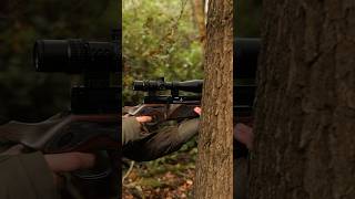 PCP air rifle for hunting The BSA R12 CLX PRO Wilderness Edition [upl. by Aylsworth]