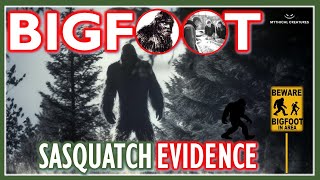 Bigfoot Real New Sasquatch Evidence bigfoot sasquatch [upl. by Auroora]