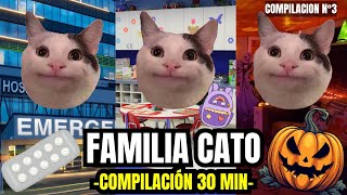 FAMILIA CATO compilación n°3 de 30 minutos meme de gatos [upl. by Merralee]