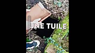 UnE tUiLe am aligntmotion edit foryou memes pourtoi pourtoii [upl. by Adlee]