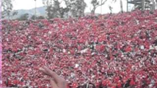 rose bowl 2011 silent jump around [upl. by Enimzaj85]