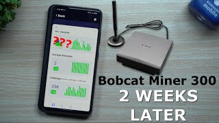 Bobcat Miner 300 HNT  Results After 2 Weeks  Helium Hotspot Miner [upl. by Bette233]