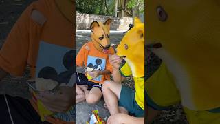 The father dog competes with the puppy for food and the end result🤣dogshorts dog viral shorts [upl. by Anor]