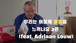 통증에 대한 교육영상 2 featAdriaan Louw [upl. by Nannoc41]