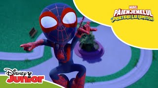 🦸 Super momentele lui Miles  Păienjenelul Marvel și prietenii lui uimitori  Disney Junior România [upl. by Cassady374]