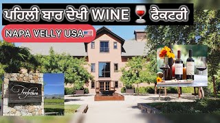 TREFETHEN WINERY ਚ ਲੋਕ ਆਉਂਦੇ ਫ੍ਰੀ ਦੀ WINE 🍷 ਪੀਣ ।Trefethen winery napa velly USA 🇺🇸 [upl. by Demah937]