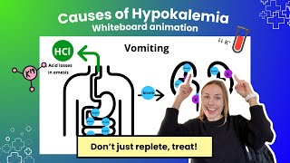 Hypokalemia Causes Whiteboard Animation [upl. by Poock]