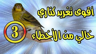 تغريد كناري رائع جدا و بدون أخطاء Singen Kanarische [upl. by Phebe264]