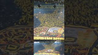 Borussia Dortmund vs FC Internazionale Milano Choreography 05112019 Signal Iduna Park [upl. by Antin854]