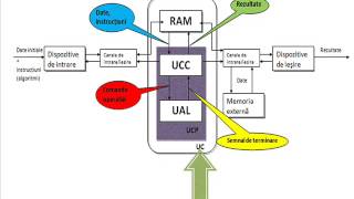 Structura unui sistem de calcul [upl. by Lorens]