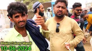 Is Biopari ka Boycott 😡 Kro  Bhains Colony Mandi Karachi Cattle Rates 10 June 2024  Cow Mandi 2024 [upl. by Arno524]