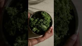 Kale Chips with Vegan Cheese Sauce  Healthy Eating with WMF [upl. by Ytinav]