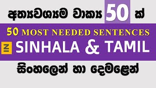 Learn 50 MOST NEEDED Sentences in Sinhala and Tamil  Spoken Tamil  Spoken Sinhala  Lesson 01 [upl. by Attelrahs]