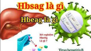 Hbsag là gì  Hbeag là gì  giải đáp xét nghiệm viêm gan B [upl. by Notfilc268]