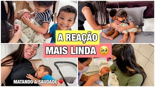 PIETRA E THEO CONHECENDO A IRMÃ 🥹♥️ MAITÊ FEZ O TESTE DO PEZINHO E TOMOU A BCG  Sindy Melo [upl. by Lemrej]