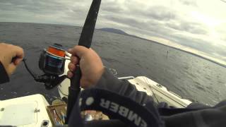 Fishing Off Montague Island at Bermagui [upl. by Edythe]