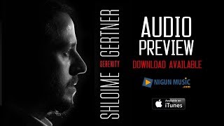 Shloime Gertner  Audio Preview  Serenity [upl. by Edva567]