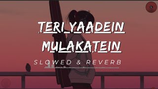 Teri Yaadein Slowed  Reverb Lofi Song  Sad Song [upl. by Bocaj]