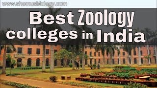 Best zoology colleges in India  List of top 10 zoology colleges in India [upl. by Supmart]